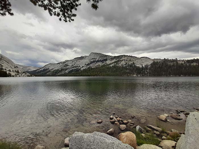 Yosemite Park - Tenaya Lake