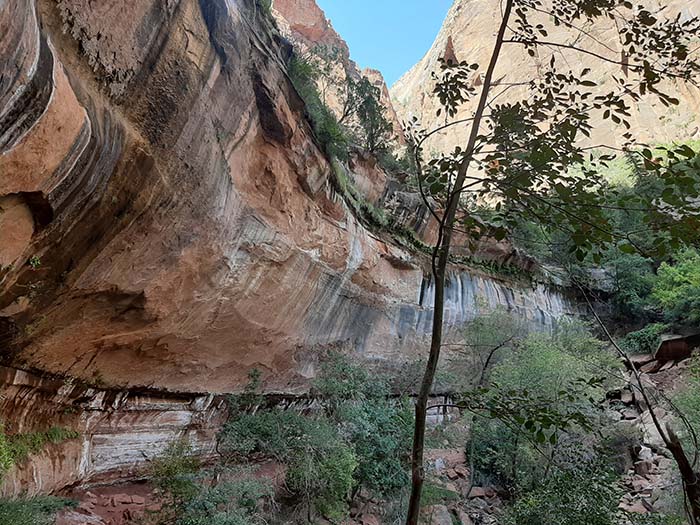 Zion National Park - Lower Emerald Pool Trail
