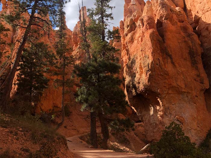 Bryce Canyon - Queen's/Navajo Combination Loop