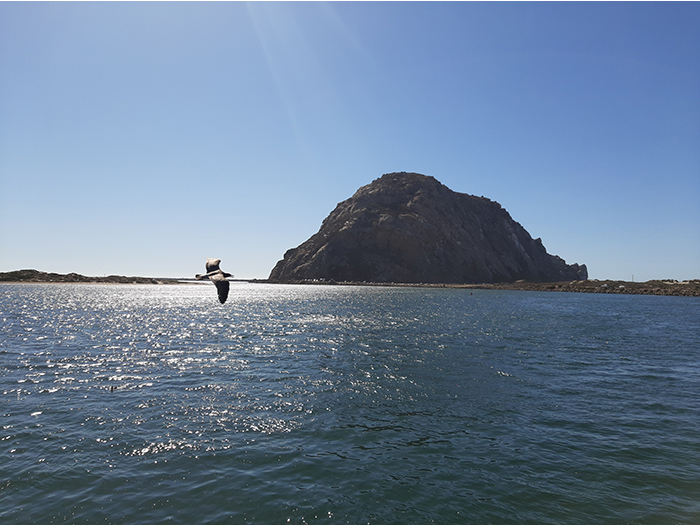 Morro Bay - Morro Rock